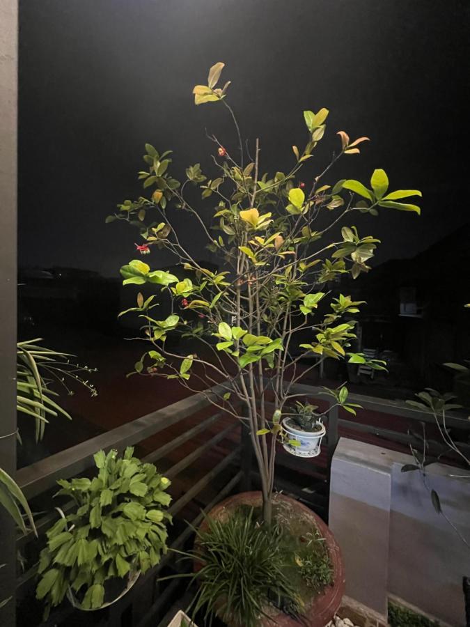 Sunflower Homestay Hai Phong Exteriér fotografie